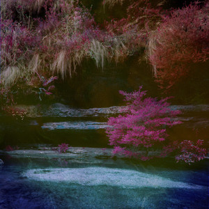 滝川恵理中文无码AV
